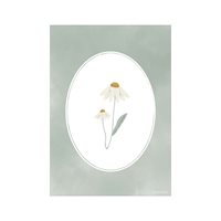 Picture of Poster A3 - Wild Flowers
