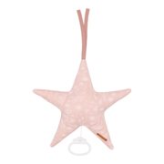 Picture of Star-shaped music box Wild Flowers Pink