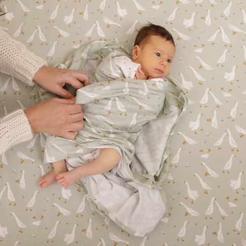 Picture of Swaddle 120 x 120 Little Goose