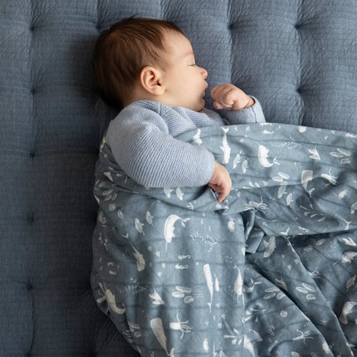 Picture of Swaddle 120 x 120 Ocean Blue
